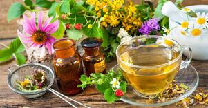 Infuzii de plante pentru tratamentul osteocondrozei cervicale